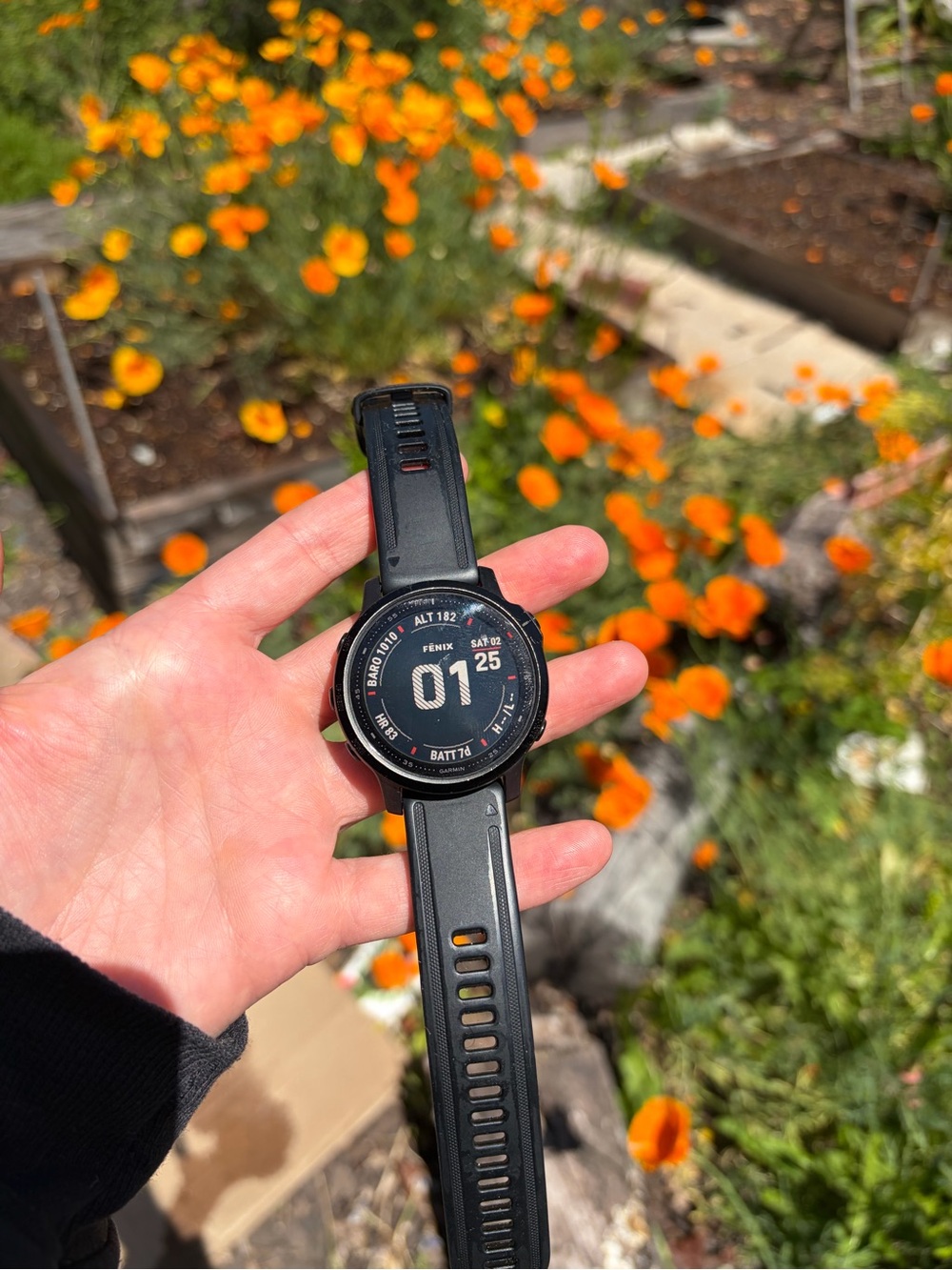 Garmin Fenix 6S Pro Black GPS Multisport Smartwatch